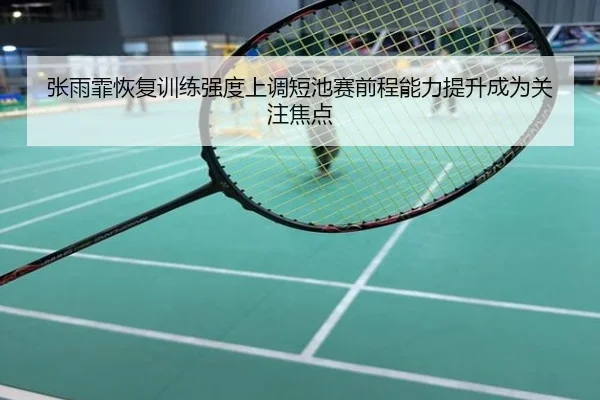 张雨霏恢复训练强度上调短池赛前程能力提升成为关注焦点