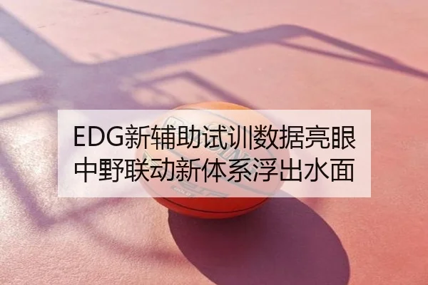 EDG新辅助试训数据亮眼 中野联动新体系浮出水面